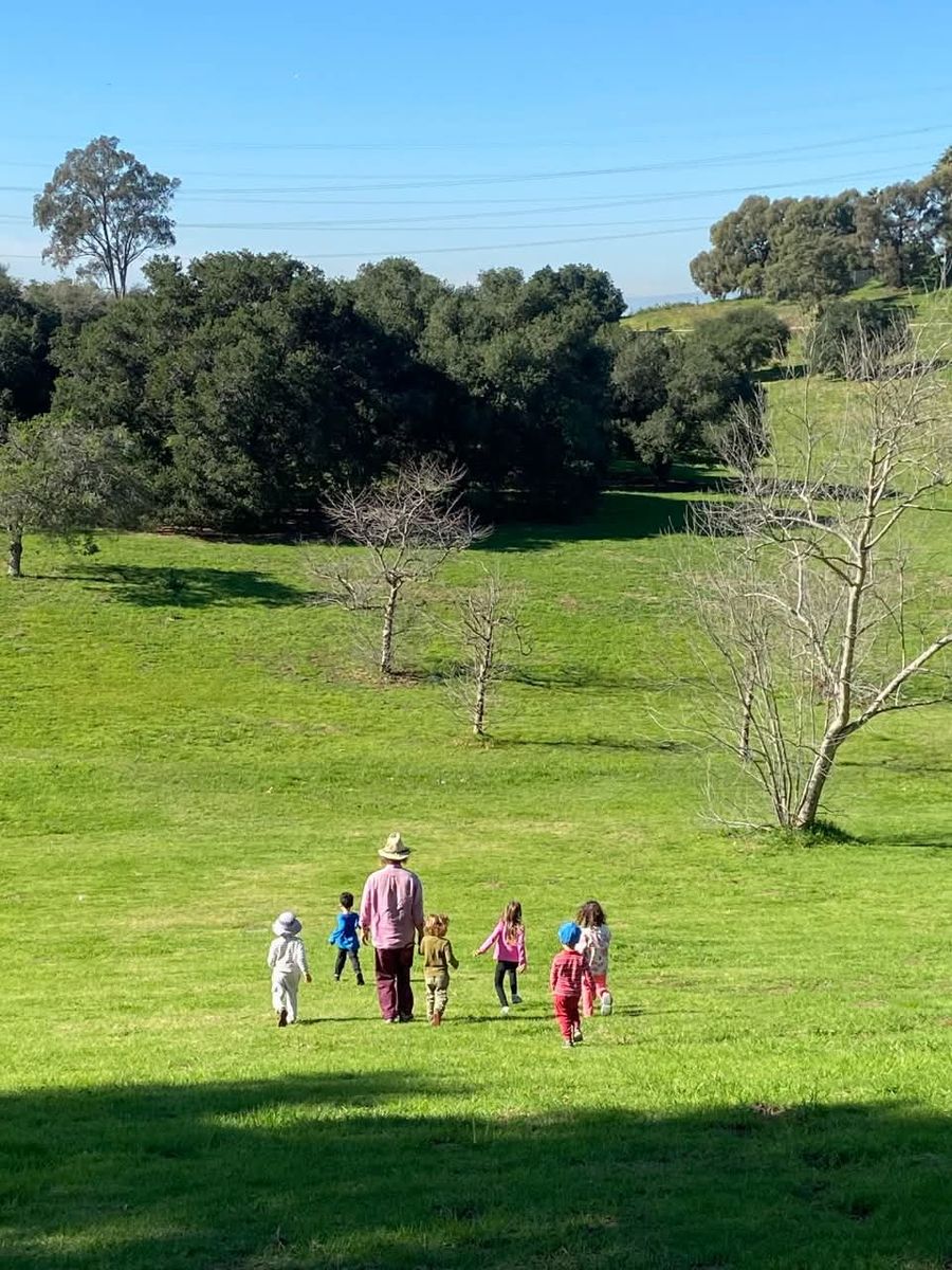 Philip leading six children across a wide green meadow toward oak woodland